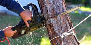 Best Soil Testing and Treatment  in Byram, MS